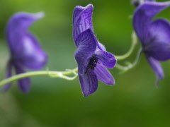 PICT6425.jpg