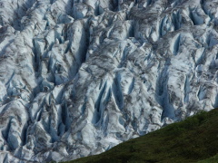 Exit Glacier