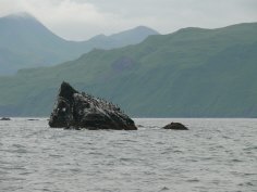P1090065.jpg