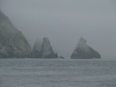 P1090046.jpg