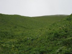 IMG_1102.jpg