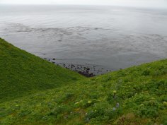 Kasatochi Volcano