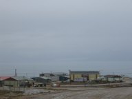IMG_3423.jpg