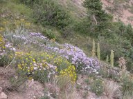 DSCN0416.jpg