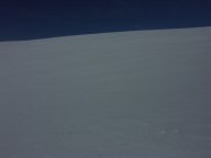 PICT1595.jpg