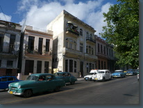 P1100916.jpg