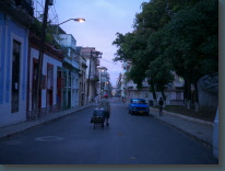 P1120815.jpg
