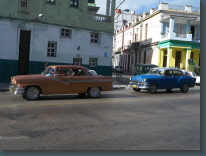 P1100915.jpg