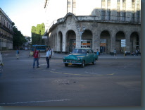 P1110074.jpg