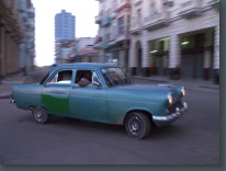 P1120127.jpg