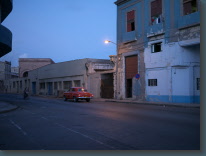 P1120139.jpg