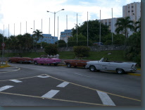 P1120216.jpg