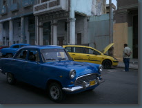 P1120534.jpg