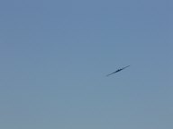 B-2 Bomber