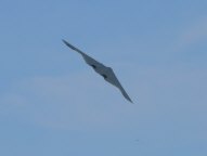 B-2 Bomber