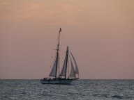 Location: Key West, Florida P1050363.jpg