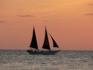 Location: Key West, Florida P1050372.jpg