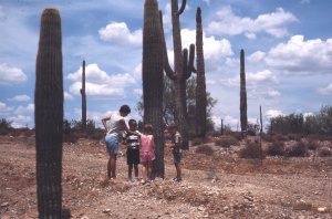 Taken in 1966 in Arizona.