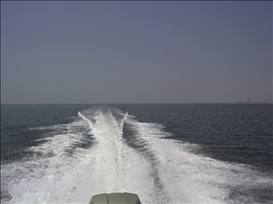 082798DSC00008.jpg