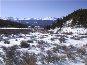 IMG_0042.JPG
