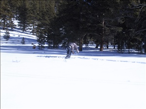 IMG_0048.JPG