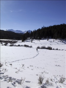 IMG_0058.JPG