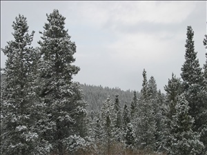 IMG_0681.JPG