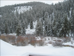 IMG_0683.JPG