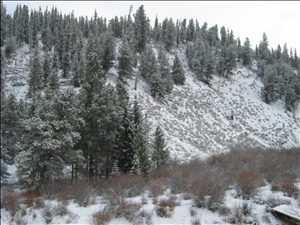 IMG_0685.JPG