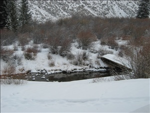 IMG_0686.JPG
