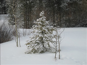 IMG_0689.JPG
