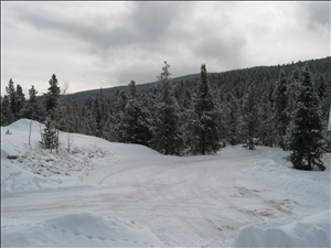 IMG_0690.JPG