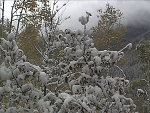 DSC0106.jpg