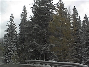 DSC0108.jpg