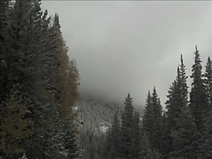 DSC0111.jpg