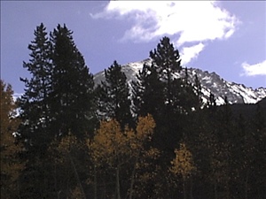 DSC0124.jpg