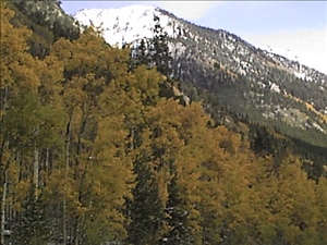 DSC0125.jpg