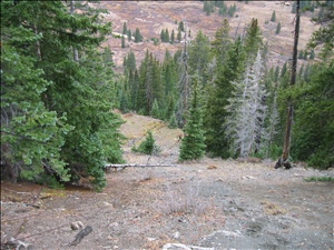 IMG_0302.JPG