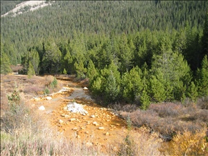 IMG_0339.JPG