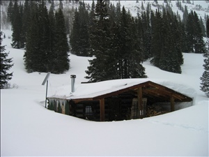 IMG_2578.jpeg