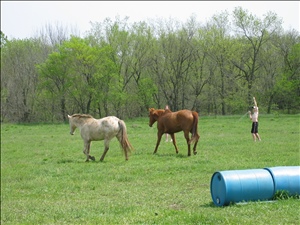 100_0061.JPG