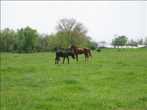 100_0062.JPG