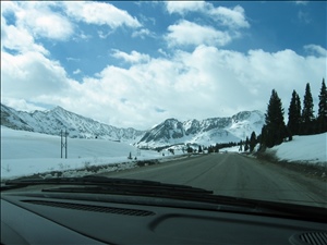 100_0077.JPG