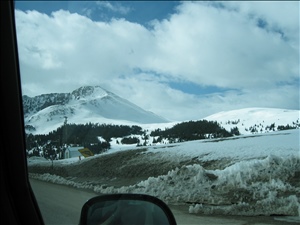 100_0079.JPG