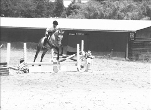 Scan34.jpg