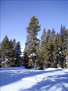 IMG_2637.JPG