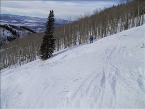 IMG_2641.JPG