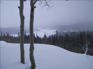 IMG_2675.JPG