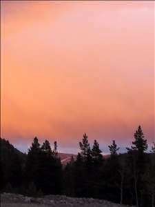 IMG_7296.JPG