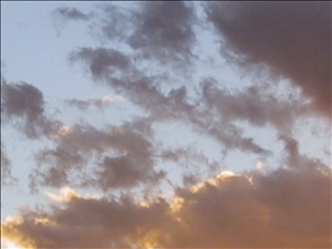 IMG_7335.JPG